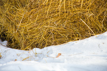 haystack, straw in the village, horse yard, winter, snow, (farm)