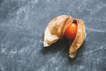 Winter cherry physalis on a dark background. The view from the top. Free copy space for text