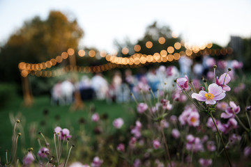 Some pink flowers are at the foreground. A lot of tables with some guests sitting behind them are at the background.