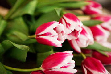 Red and white tulip bouquet  on the table spring and fresh