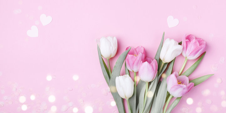 Beautiful spring tulip flowers on pastel pink table top view. Greeting banner for International Women Day, Mother day. Flat lay.