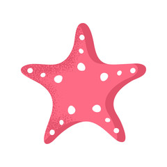 Vector Illustration. Cartoon seastar icon in modern flat style. Ocean seastar character. Isolated seastar