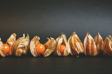 Winter cherry physalis on a dark background. The view from the top. Free copy space for text