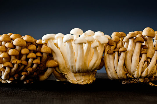 Close up mushrooms on table