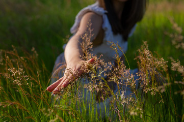 Female hand stroking spikelets of meadow grass.
