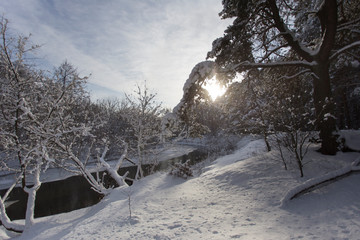Piękny zimowy krajobraz z rzeką