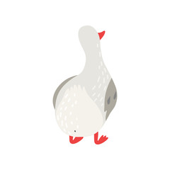 Cute White Goose Cartoon Character Back View Vector Illustration