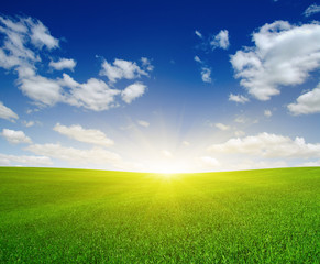 Fototapeta na wymiar Green meadow and sun.