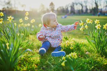 One year old girl sitting on the grass with yellow narcissi
