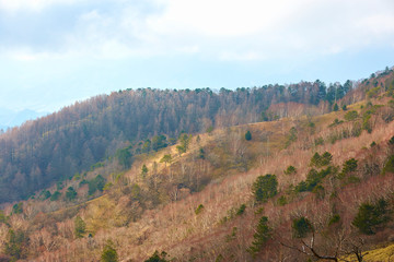 Fototapeta na wymiar 大菩薩嶺の風景
