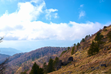 大菩薩嶺の風景