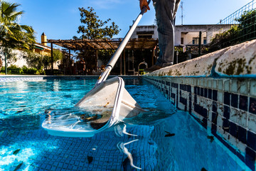 Pool Net Leaf Skimmer Rake in summer.