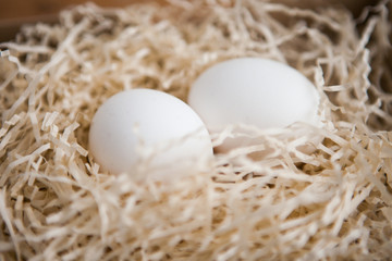 Two white eggs in the nest, close up