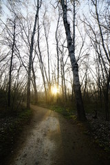 paisajes en parques al aire libre