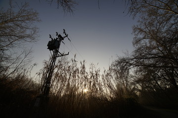 paisajes en parques al aire libre