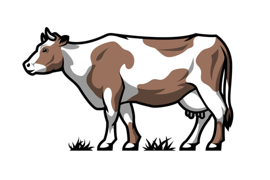 Dairy cow. Farm animal. Color option. Vector illustration.