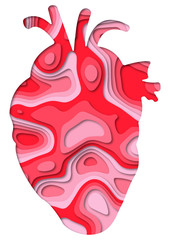 Close up of human heart