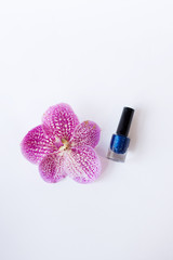 Obraz na płótnie Canvas blue nail polishes stand near beautiful pink flower.Professional cosmetic products