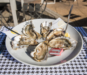 CAP FERRET (Bassin d'Arcachon, France), dégustation d'huîtres