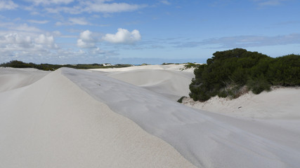 White sand dunes and bush by the ocean, blue sky