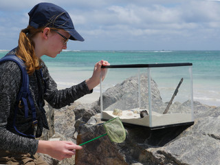 Young marine researcher at the beach with terrarium, net, rocks, sea, clouds