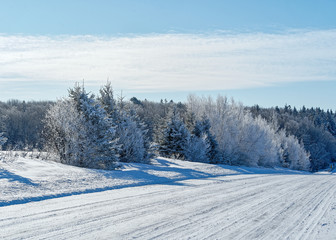 A snow covered road bordered with trees in rural Amercia.