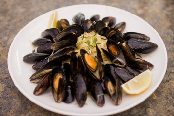 mussels on plate