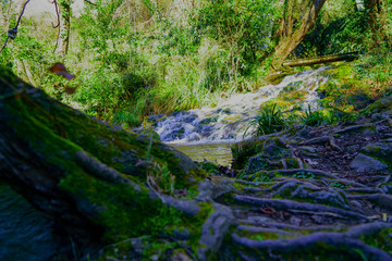 soalto de agua en rio pequeño