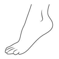 Human Foot, Leg Icon Isolated On A White Background. Vector Illustration. Orthopedics, Organs Concept.