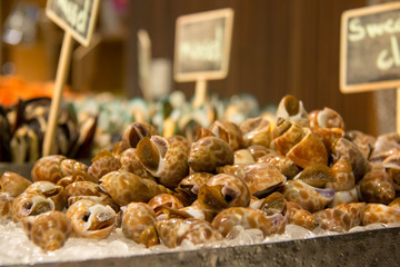 A sweet clam on ice