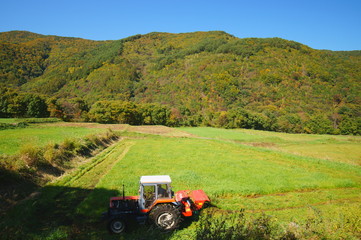 Fototapeta premium Tractor Mowing harvest Grass
