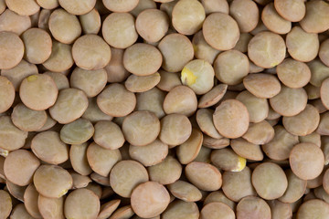 Green Lentil