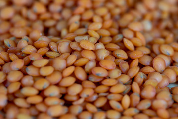 Red Lentil