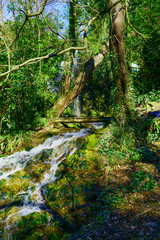 puente pequeño sobre riachuelo 