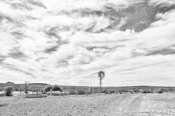 Windmill, dam and sheep near Middelpos. Monochrome