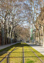 Avenue. Barcelona. Urban. View. Tramway