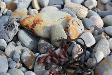Various types of stones and pebbles taken on a stoney beach