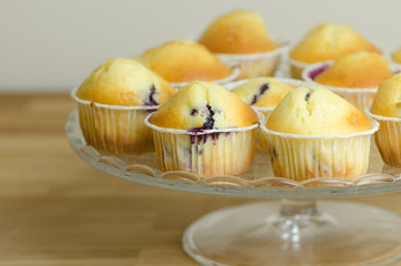Blueberry Muffin, delicious and yummy muffins with blueberries