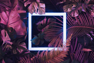 Creative fluorescent color layout made of tropical leaves with neon light square. Flat lay. Nature...