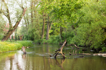Piękna rzeka płynąca pośród zieleni © Robert Wróblewski