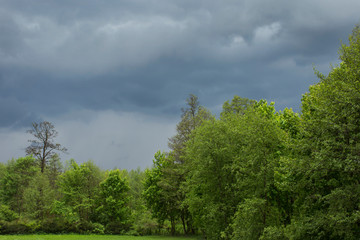 Obraz premium pochmurne niebo nad zielonym lasem