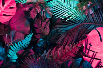 Fototapeten Kreatives fluoreszierendes Farblayout aus tropischen Blättern. Flache Neonfarben. Natur-Konzept. © Zamurovic Brothers