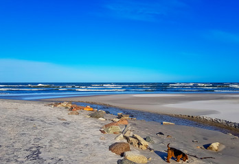 Fototapeta premium Fresh water stream going into the Baltic Sea in winter - Lubiatowo, Pomerania, Poland