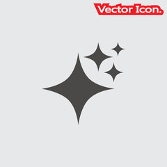 Shine icon isolated sign symbol and flat style for app, web and digital design. Vector illustration.