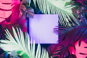 Creative fluorescent color layout made of tropical leaves with neon light square. Flat lay. Nature...
