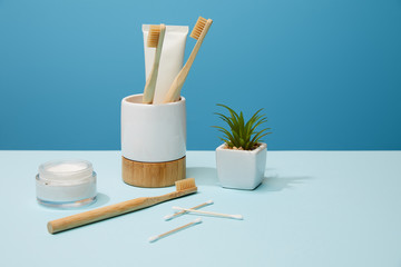 holder for toothbrushes, cosmetic cream and plant in pot on table and blue background