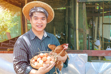 Smilling midle aged grey hair man hand holding chicken and basket of eggs in their henshouse, farm, garden and owner business concept.