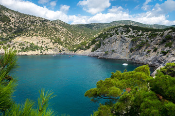 Naklejka premium Coast of the Black Sea