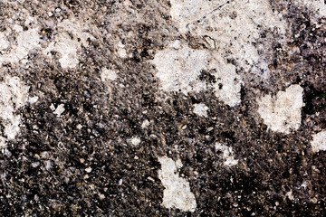 Texture of an old wall, paint. 