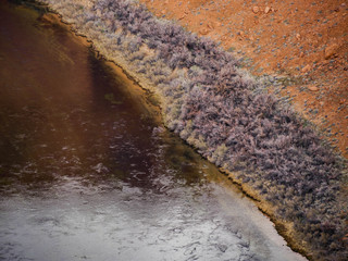 Colorado River Bank, Arizona, USA